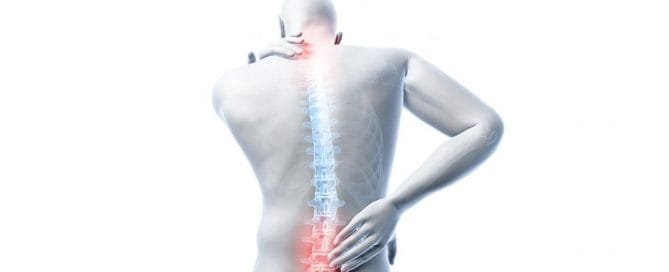 spine pain management